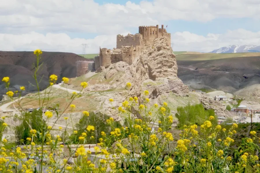تور وان