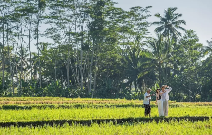 هتل مت لند ومیا اوبود Metland Venya Ubud