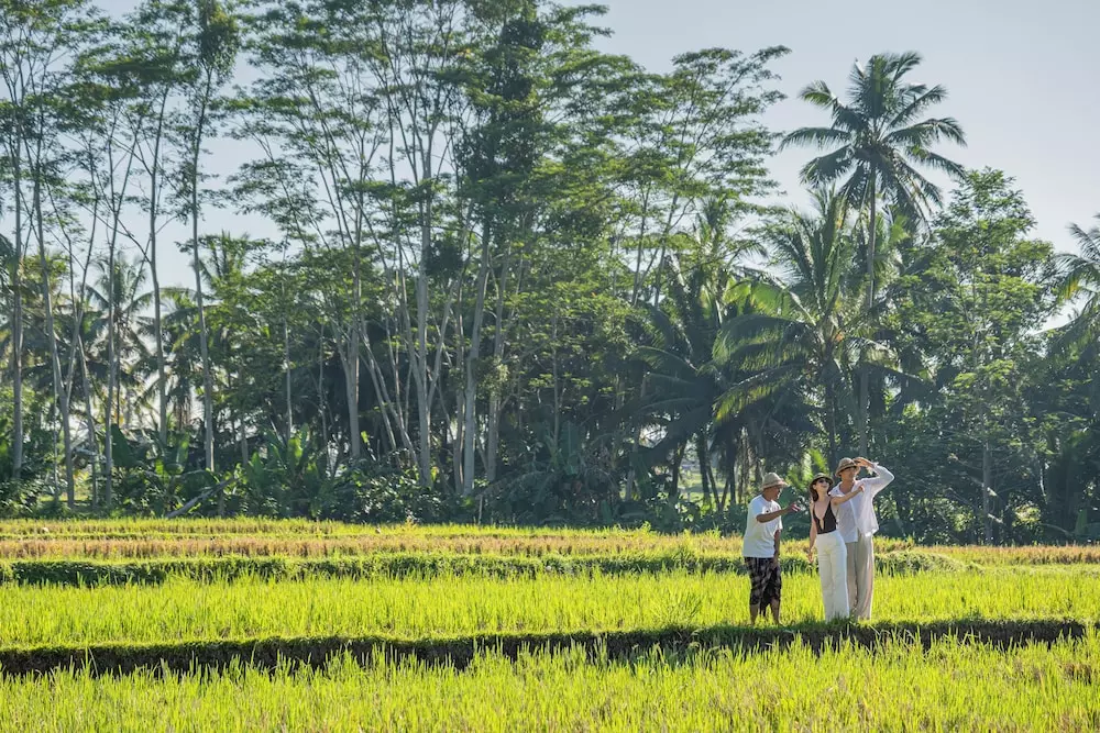 Ù‡ØªÙ„ Ù…Øª Ù„Ù†Ø¯ ÙˆÙ…ÛŒØ§ Ø§ÙˆØ¨ÙˆØ¯Â Metland Venya Ubud
