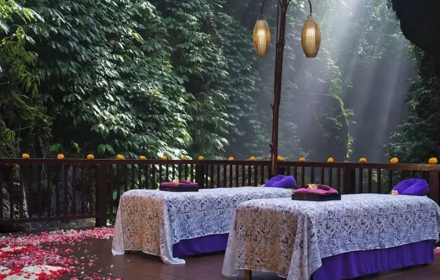 هتل ناندینی بالی جونگل (Nandini Jungle Resort & Spa Bali)