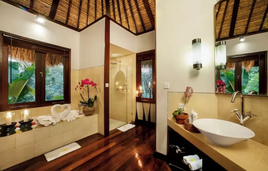 هتل ناندینی بالی جونگل (Nandini Jungle Resort & Spa Bali)