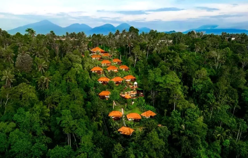 هتل ناندینی بالی جونگل (Nandini Jungle Resort & Spa Bali)