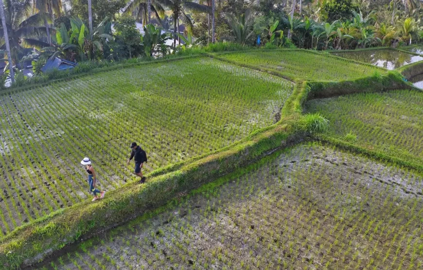 هتل ناندینی بالی جونگل (Nandini Jungle Resort & Spa Bali)