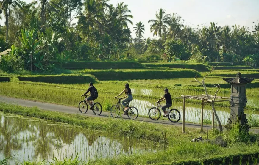 هتل ناندینی بالی جونگل (Nandini Jungle Resort & Spa Bali)