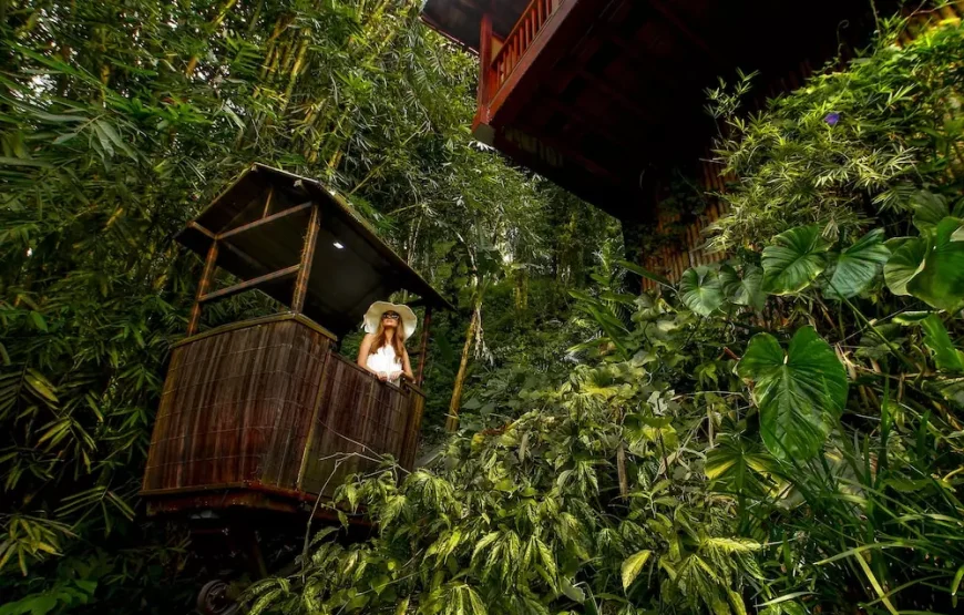 هتل ناندینی بالی جونگل (Nandini Jungle Resort & Spa Bali)