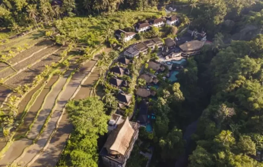 هتل آکساری ریزورت ابود بای اینی وی هاسپیتالیتی Aksari Luxury Resort & Spa Ubud by Ini Vie Hospitalit